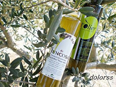 FIRA DE LES BORGES BLANQUES (Lleida)