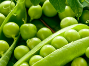 Ocho claves sobre guisantes Historia variedades