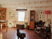 Cómo crear biblioteca original casa