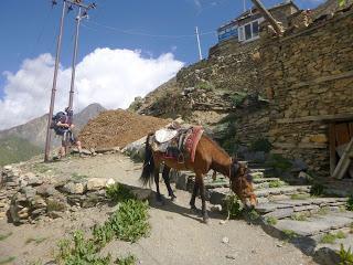 ANNAPURNA CIRCUIT ETAPA 6: MANANG (3540 m) - LEDAR (4200 m)