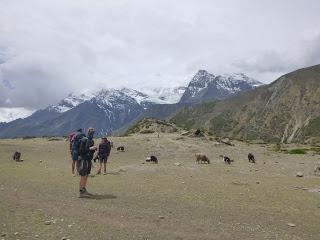 ANNAPURNA CIRCUIT ETAPA 6: MANANG (3540 m) - LEDAR (4200 m)