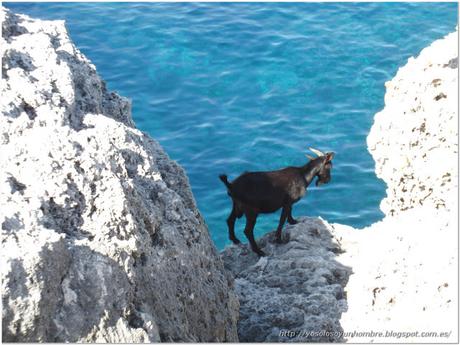 Menorca running (I): Camí de Cavalls – de Cala Galdana a Son Saura y vuelta