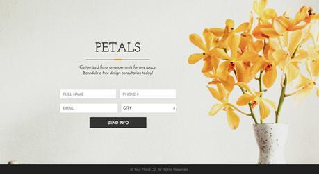 25 ideas de negocios que puedes empezar con una landing page 25 ideas de negocios que puedes empezar con una landing page