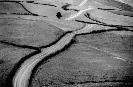 Abbas Kiarostami: sus fotografía y poemas*