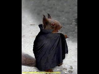 Historias-miedo-#Elde4-niños-blog-aventuras