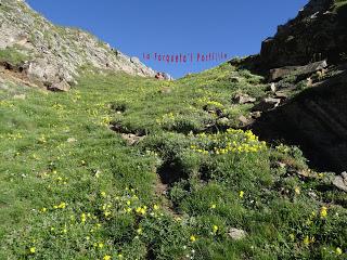 Tuiza Riba-La Forqueta del Portil.lín-Alto los Camisos-Puertos de Güeria-El Bocarón de L.leturbio