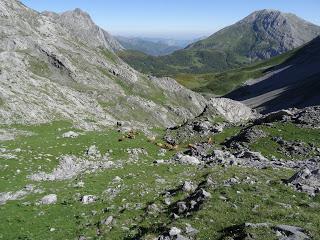 Tuiza Riba-La Forqueta del Portil.lín-Alto los Camisos-Puertos de Güeria-El Bocarón de L.leturbio