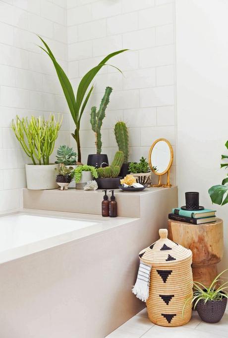 Deco: Un oasis en el baño Deco: Un oasis en el baño