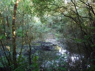 EL MÉTODO 15/33 - Shannon Kirk