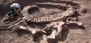 sueño con arqueología