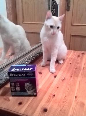 Sin Miedos Con Feliway