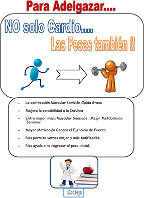 MITO: EL MEJOR EJERCICIO PARA ADELGAZAR ES CARDIOVASCULAR POR LARGO TIEMPO MITO: EL MEJOR EJERCICIO PARA ADELGAZAR ES CARDIOVASCULAR POR LARGO TIEMPO