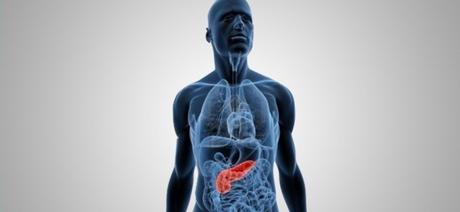 El páncreas artificial podría estar disponible en 2018.