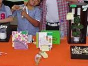 Lograr ideas cumplan