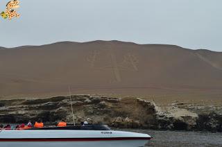 Qué ver en la Reserva Nacional de Paracas?