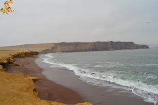 Qué ver en la Reserva Nacional de Paracas?