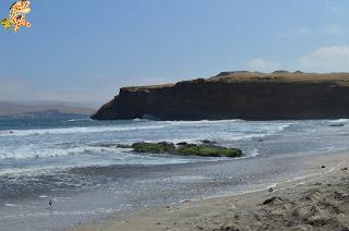 Qué ver en la Reserva Nacional de Paracas?