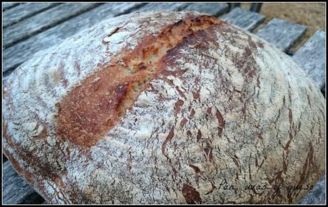 Pan de centeno Pan de centeno