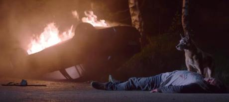 Una campaña contra el abandono de mascotas en verano que no te dejará indiferente