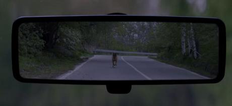 Una campaña contra el abandono de mascotas en verano que no te dejará indiferente