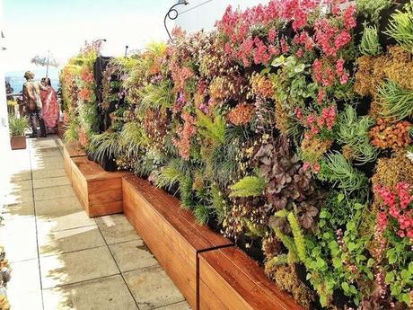 VERTICAL GARDENS VERTICAL GARDENS