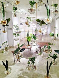 VERTICAL GARDENS VERTICAL GARDENS