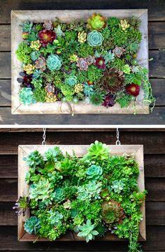 VERTICAL GARDENS VERTICAL GARDENS