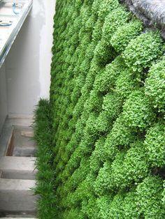 VERTICAL GARDENS VERTICAL GARDENS