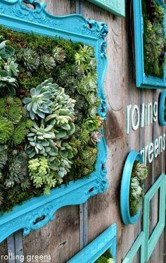 VERTICAL GARDENS