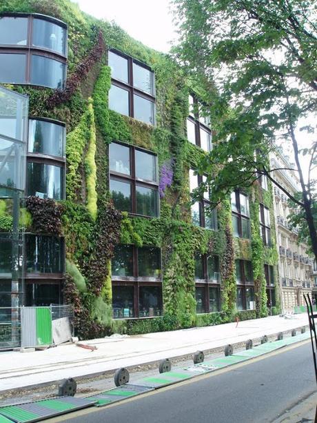 VERTICAL GARDENS