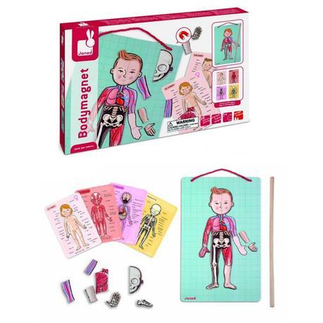 cuerpo-humano-janod cuerpo-humano-magnetico