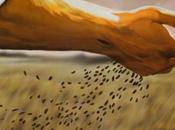 Asco, pena vergüenza