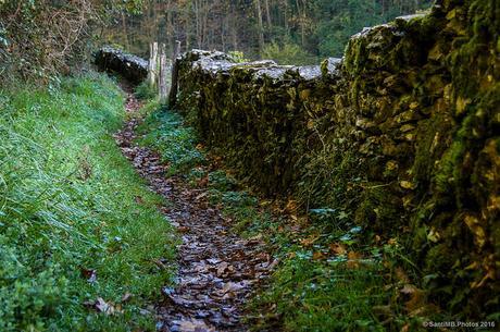 El olor de la humedad