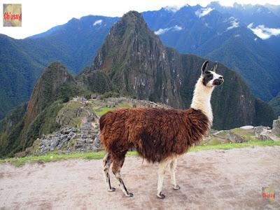 La verdad sobre la subida al Wayna Picchu - Paco Nadal - El Viajero - Blogs EL PAÍS