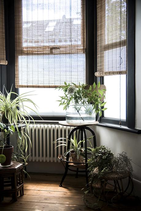 deco trends: urban jungle