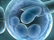 Aplicaciones clínicas células madre