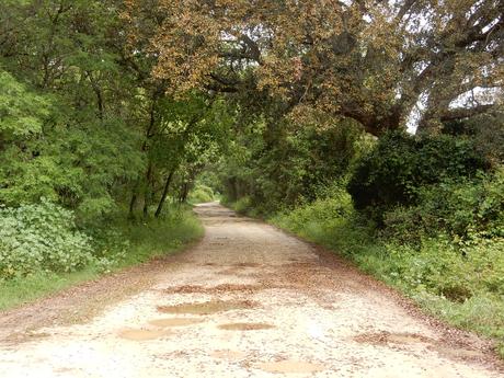 Desde Andorra a Gibraltar por la GR7