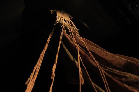 MUDA  un espectáculo que no te dejará indiferente, por manu medina