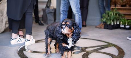 decoracion-estilo-nordico-fichajes-deco decoracion-estilo-nordico-fichajes-deco