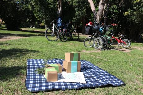 P_Picnic_Barcelona