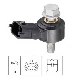 ¿Captadores de picado en diésel?