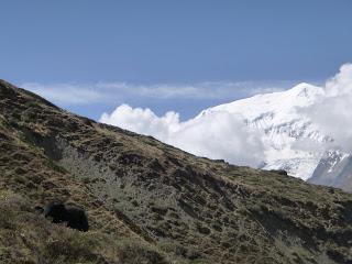 ANNAPURNA CIRCUIT ETAPA 7: LEDAR (4200 m) - THORONG PEDI (4450 m)