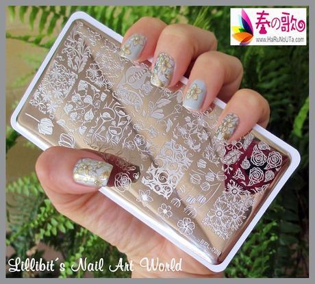 Flores BPL-029 de Harunouta Flores BPL-029 de Harunouta