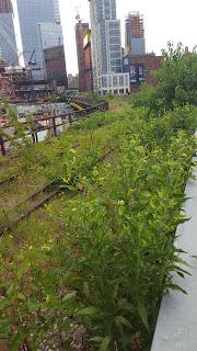 parque high line en nueva york