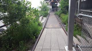 HIGHLINE NEW YORK: UN PARQUE UNICO EN EL MUNDO.