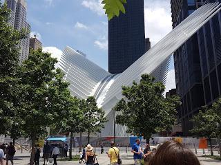 hub behind the trees