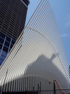 calatrava arquitecto