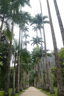 Rio de Janeiro. 9 postales en ritmo slow