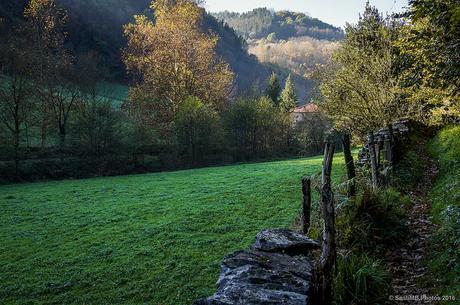 Allá donde luce el sol