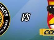 Leones Negros Coras Tepic Vivo Online, Radio Linea, 2016 Ascenso